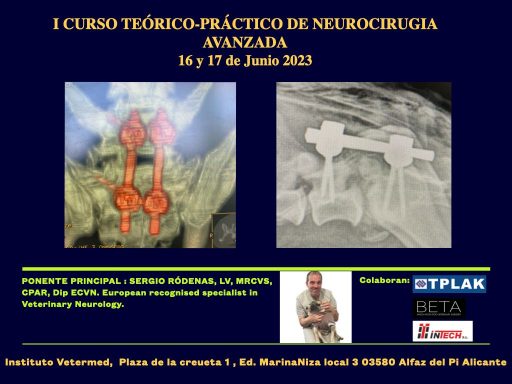 Curso neurocirugía avanzada 